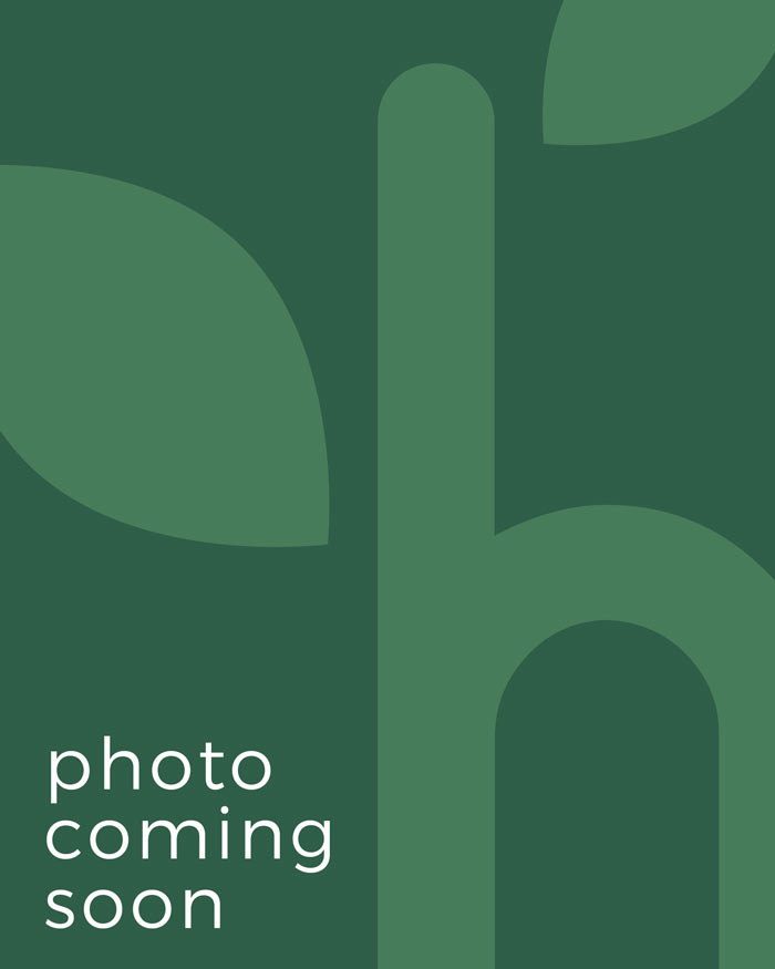 photo coming soon placeholder