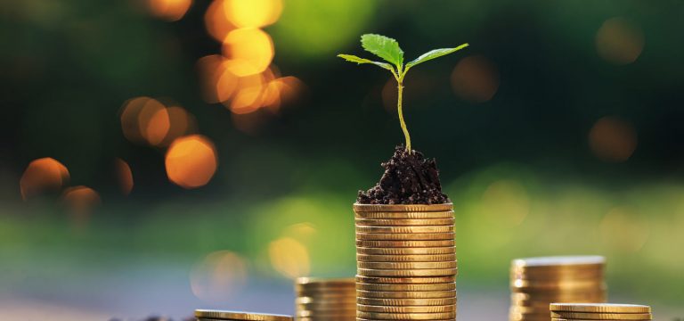 coins with leaf growing on top