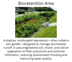 Image of plants and flowers in a bioretention area with text summarizing the article.